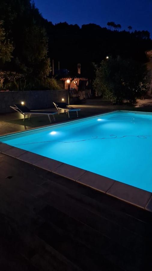 Degli Ulivi Apartamento Tivegna